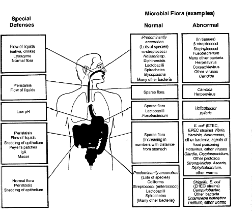 barriers to infection by