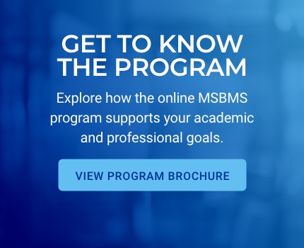 MSBMS Brochure button