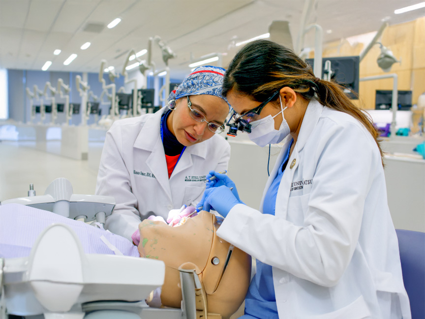 Master of Public Health dental emphasis students working on a dental dummy, practicing hands-on skills and clinical techniques.